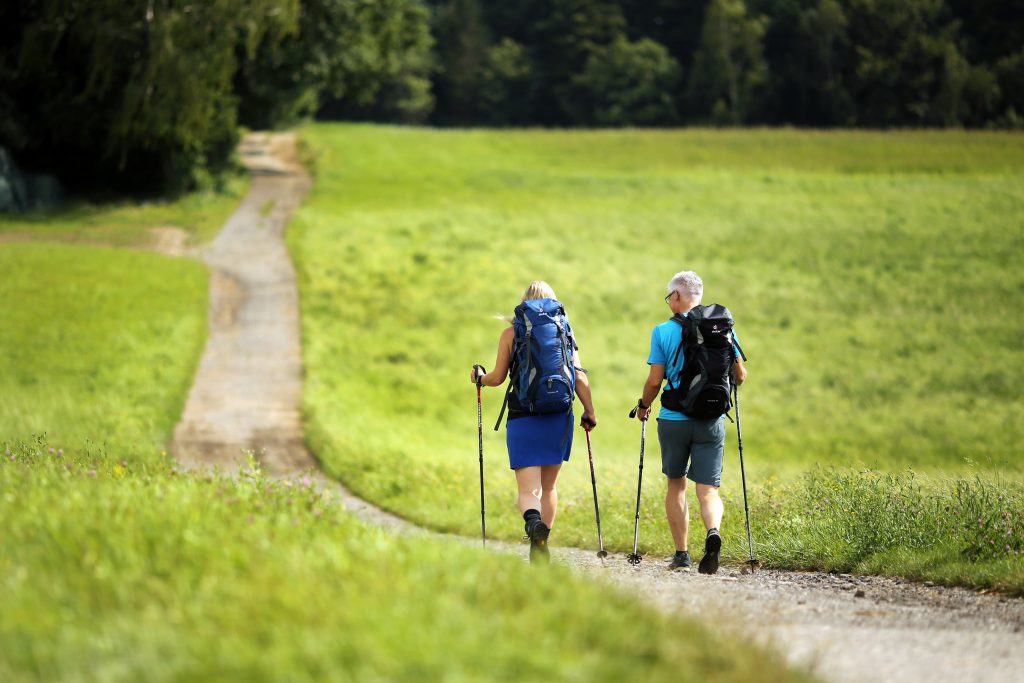 Niederösterreichs schönste Pilgerwege