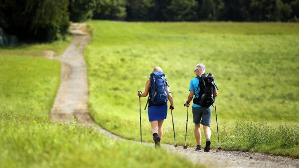 Niederösterreichs schönste Pilgerwege