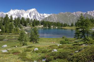 Gran Paradiso Nationalpark